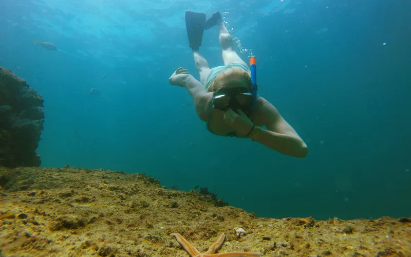 Snorkeling and sailing Cabo San Lucas — guests snorkeling from sailboat