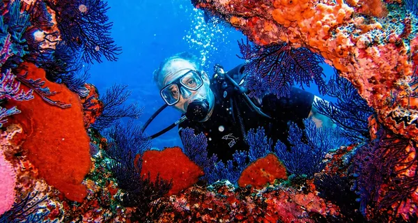 Scuba diving at Land's End