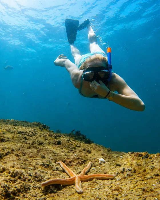 Snorkeling cruise in Cabo San Lucas