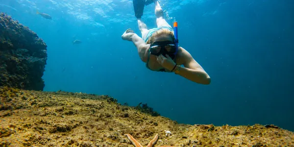 Snorkeler exploring underwater paradise