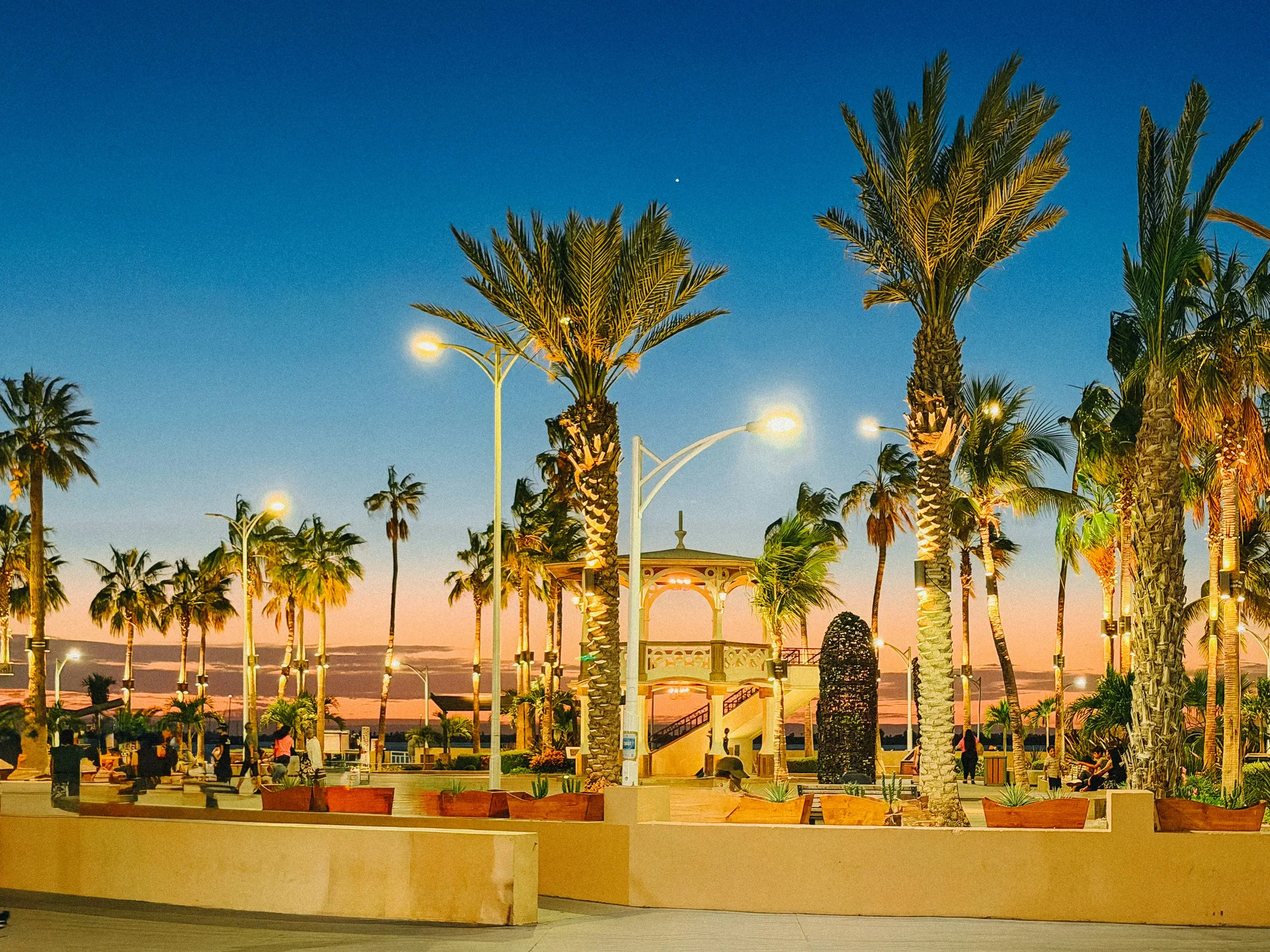 La Paz to Cabo San Lucas — 5 Ways to Get There
